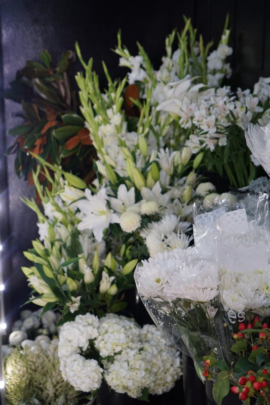 Flower Gallery 51