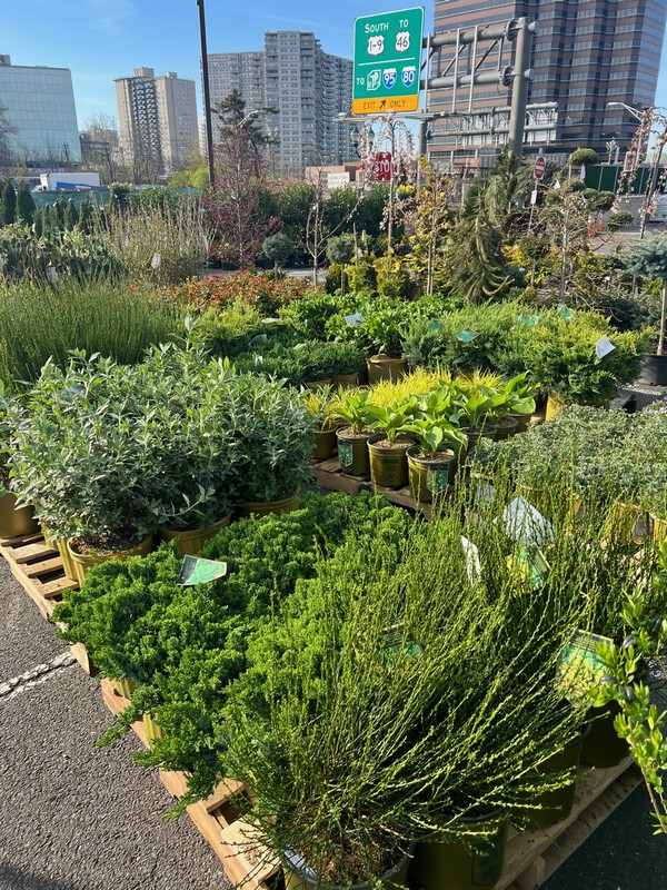 Garden Center3
