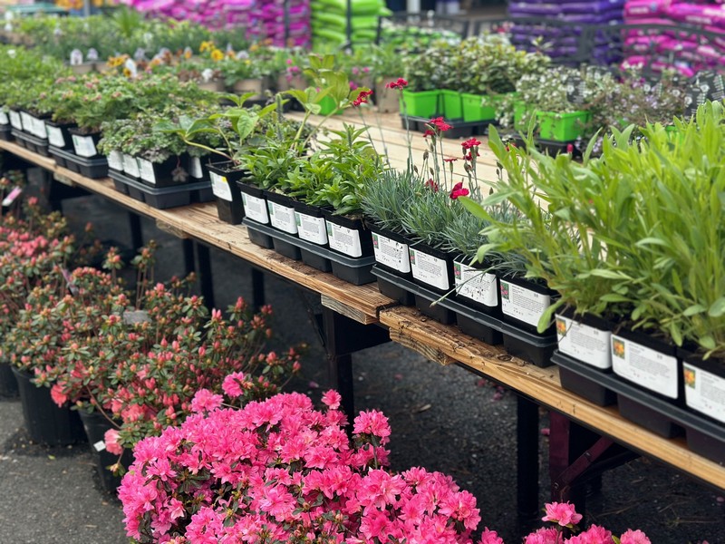 Garden Center46