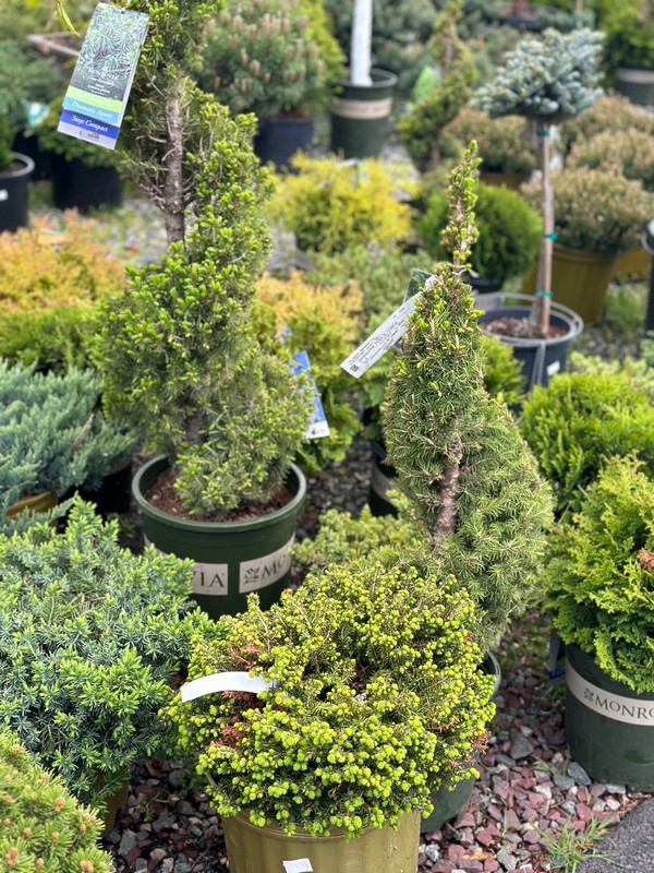Garden Center68