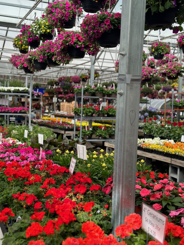 Garden Center84