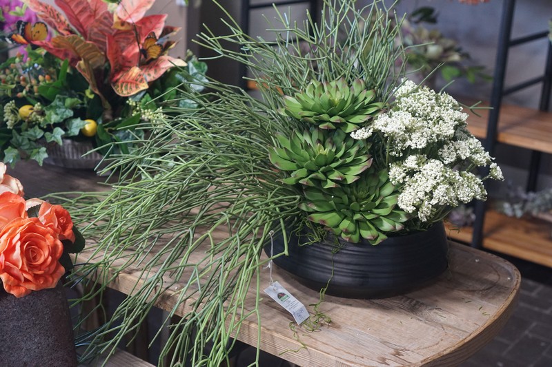 Home Décor53