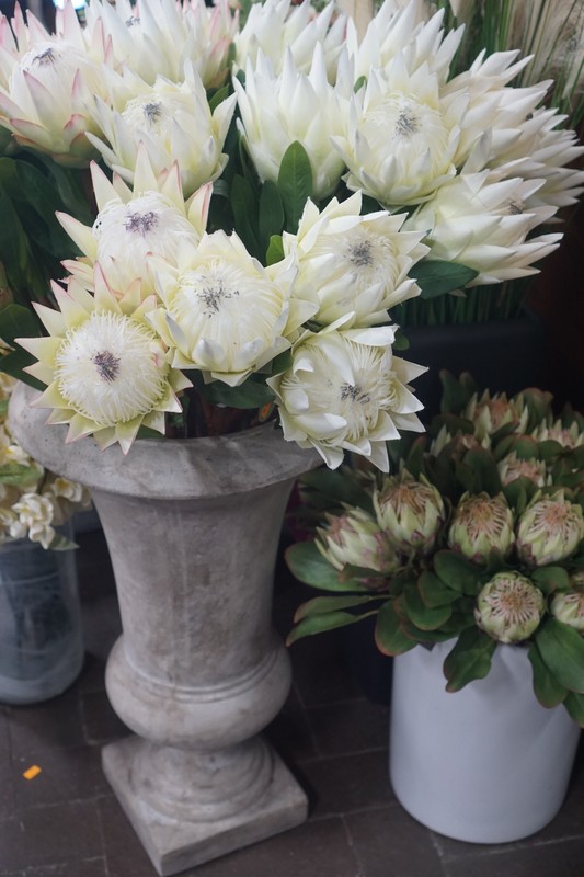 Home Décor86