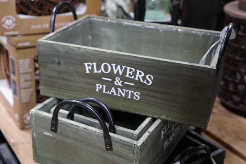 Plant Gallery 45