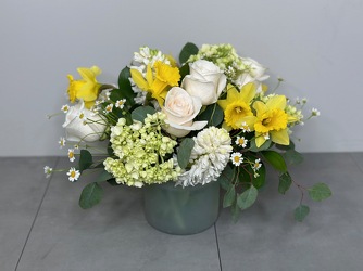 Daffodil Delight from Metropolitan Plant & Flower Exchange, local NJ florist