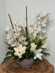 Island Bloom