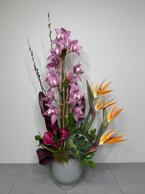 Jungle Whisper from Metropolitan Plant & Flower Exchange, local NJ florist