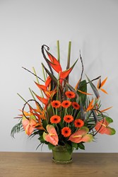 Orange Paradise from Metropolitan Plant & Flower Exchange, local NJ florist