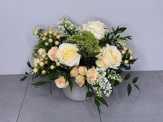 Pisatchio from Metropolitan Plant & Flower Exchange, local NJ florist