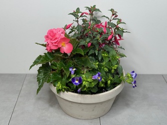 Shade Annual Garden from Metropolitan Plant & Flower Exchange, local NJ florist