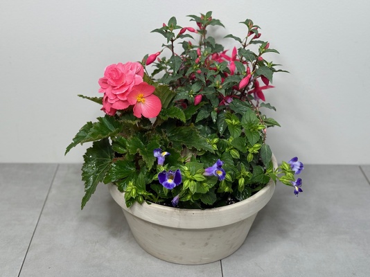 Shade Annual Garden from Metropolitan Plant & Flower Exchange, local NJ florist