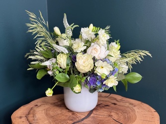 Summer Moon from Metropolitan Plant & Flower Exchange, local NJ florist