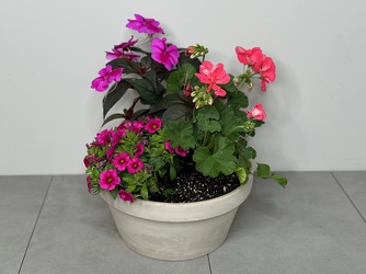 Sun Annual Garden from Metropolitan Plant & Flower Exchange, local NJ florist