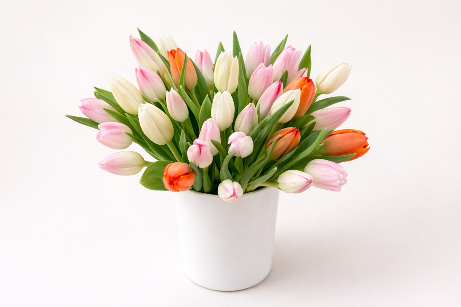 Tulip Charm from Metropolitan Plant & Flower Exchange, local NJ florist